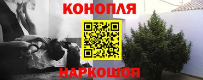 PSILOCYBIN Бугуруслан
