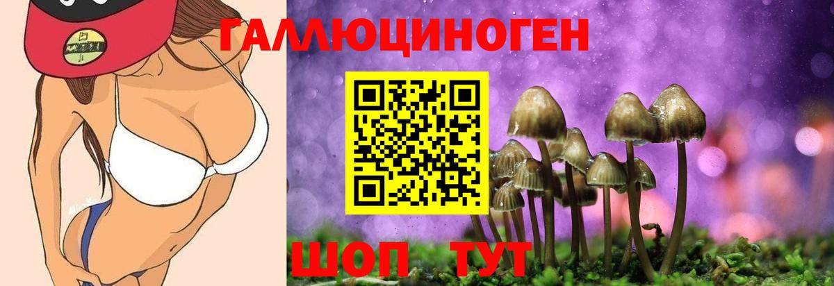 Печора  купить закладку  Вход с VPN  Галлюциногенные грибы Psilocybe 